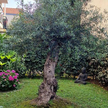 Superbe Appartement Avec Jardin Saint Charles Biarritz Zewnętrze zdjęcie