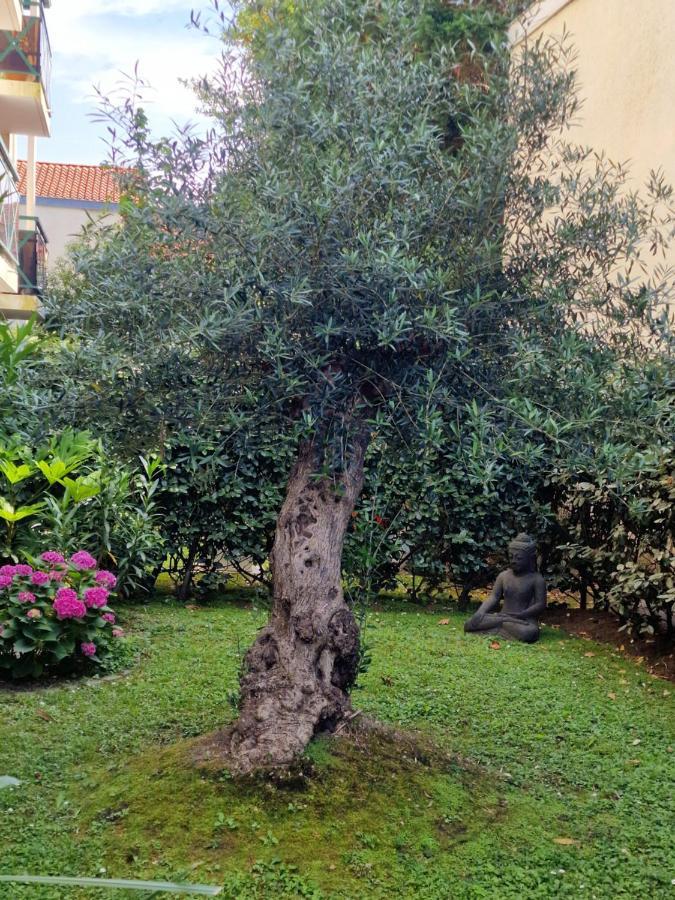 Superbe Appartement Avec Jardin Saint Charles Biarritz Zewnętrze zdjęcie